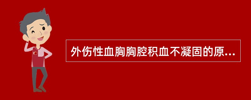 外伤性血胸胸腔积血不凝固的原因是（　　）。