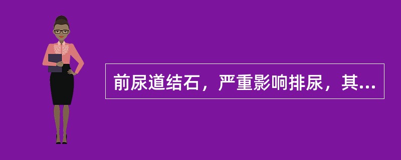 前尿道结石，严重影响排尿，其处理是（　　）。