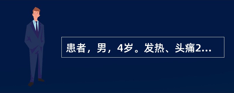 患者，男，4岁。发热、头痛2天，春节期间来诊。查体：全身皮肤可见散在出血点，颈部抵抗感，脑脊液查呈化脓性改变。下列诊断最可能的是（　　）。