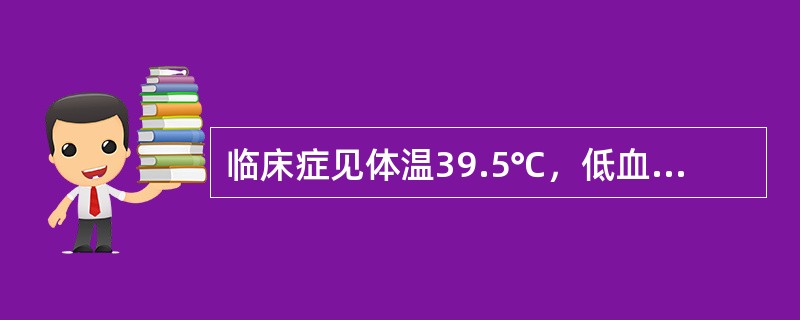 临床症见体温39.5℃，低血压，尿量300～500ml/24h尿量，蛋白尿（+++）者属于流行性出血热的类型是（　　）。