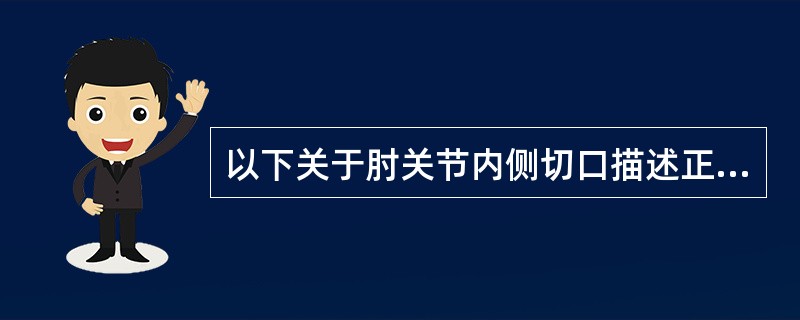 以下关于肘关节内侧切口描述正确的是（　　）。