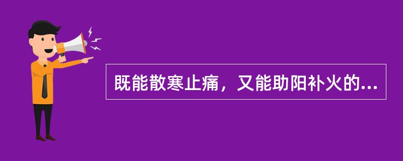 既能散寒止痛，又能助阳补火的药物是（　　）。