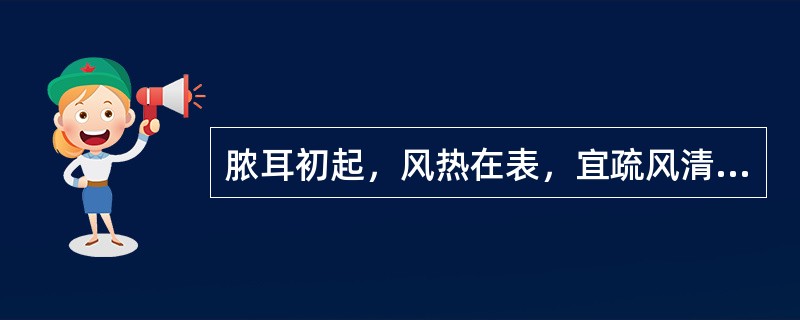脓耳初起，风热在表，宜疏风清热，解毒消肿，方用( )。