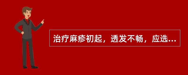 治疗麻疹初起，透发不畅，应选用的药组是