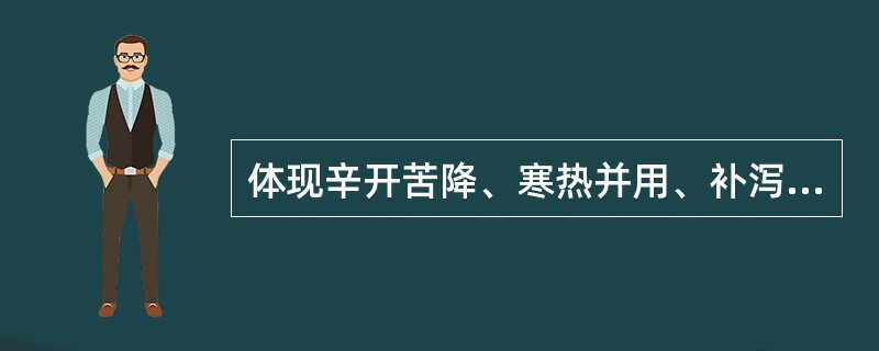 体现辛开苦降、寒热并用、补泻兼施的方剂是