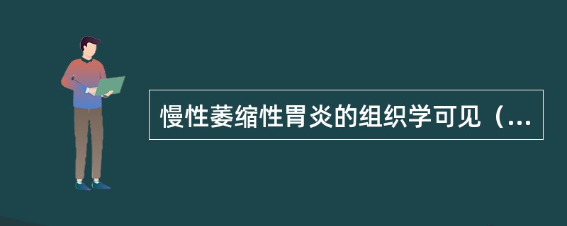 慢性萎缩性胃炎的组织学可见（　　）。