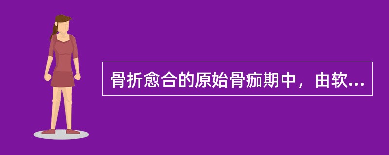 骨折愈合的原始骨痂期中，由软骨内骨化方式产生的骨痂是( )。