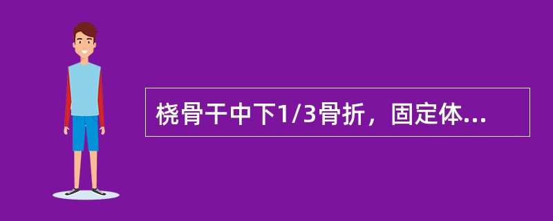 桡骨干中下1/3骨折，固定体位是( )。