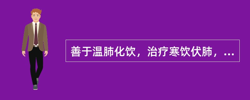 善于温肺化饮，治疗寒饮伏肺，咳嗽气喘，痰多清稀者的药组是