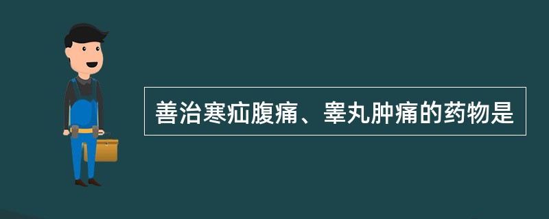 善治寒疝腹痛、睾丸肿痛的药物是