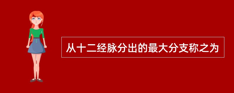 从十二经脉分出的最大分支称之为