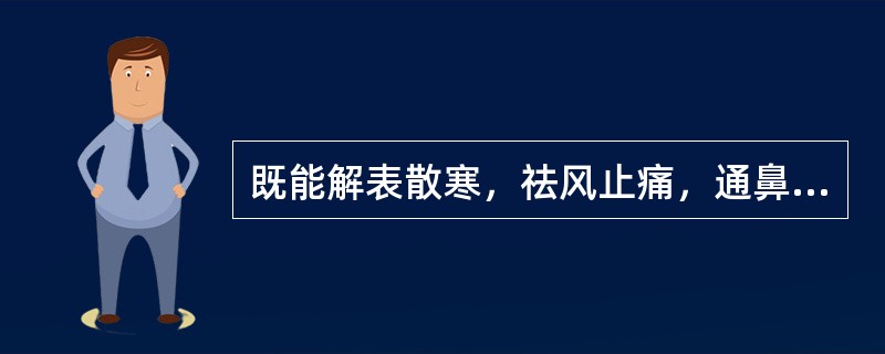 既能解表散寒，祛风止痛，通鼻窍；又能燥湿止带，消肿排脓的药物是