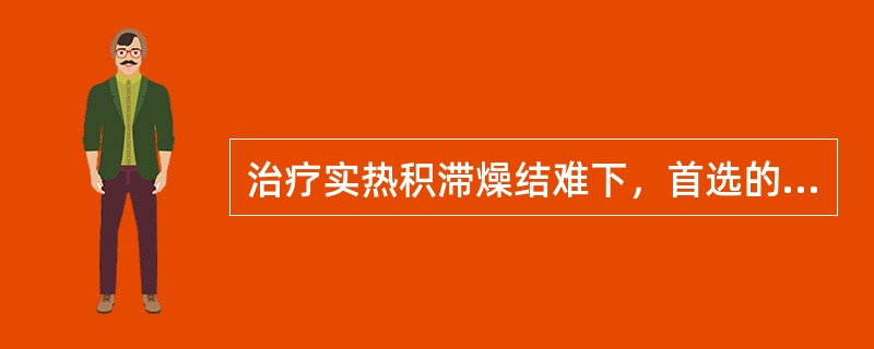 治疗实热积滞燥结难下，首选的药物是