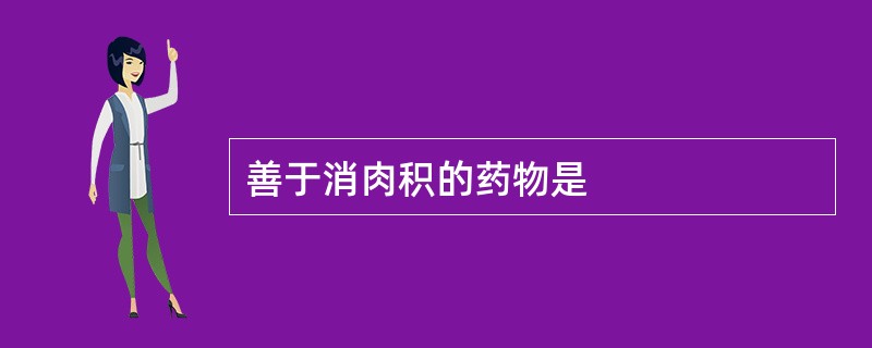 善于消肉积的药物是