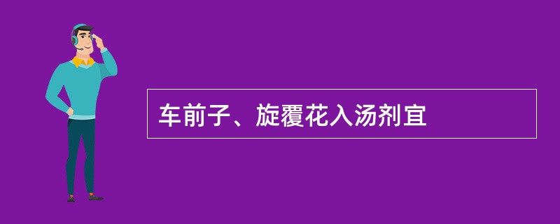 车前子、旋覆花入汤剂宜