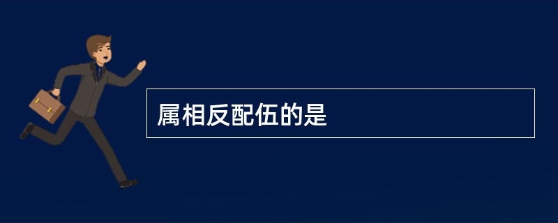 属相反配伍的是