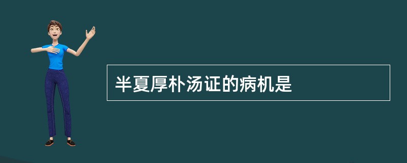 半夏厚朴汤证的病机是