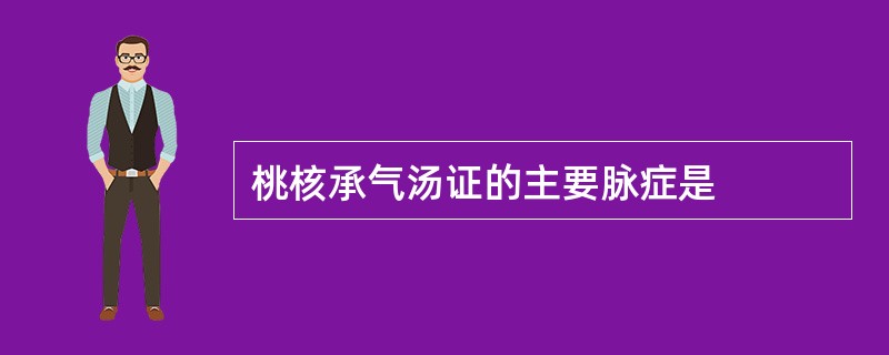 桃核承气汤证的主要脉症是