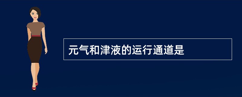 元气和津液的运行通道是