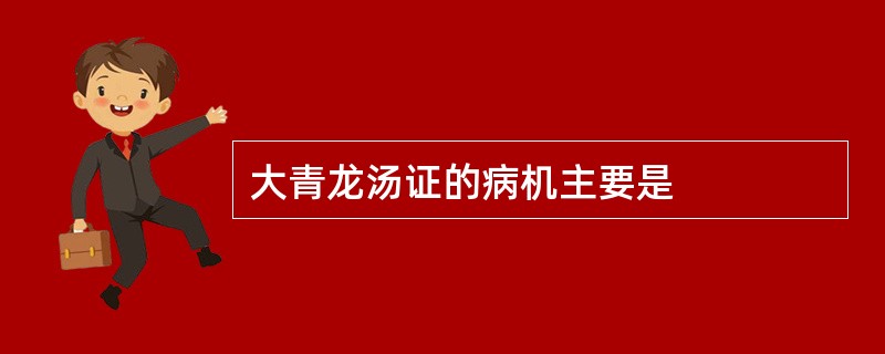 大青龙汤证的病机主要是