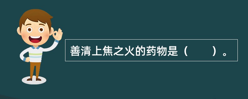 善清上焦之火的药物是（　　）。