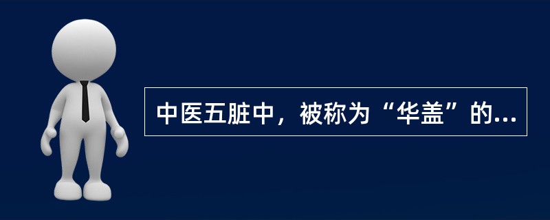 中医五脏中，被称为“华盖”的脏是（　　）。