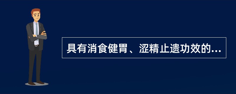 具有消食健胃、涩精止遗功效的药物是（　　）。