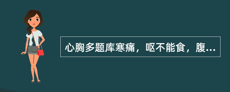 心胸多题库寒痛，呕不能食，腹中寒，上冲皮起，上下痛不可触近，治用（　　）。