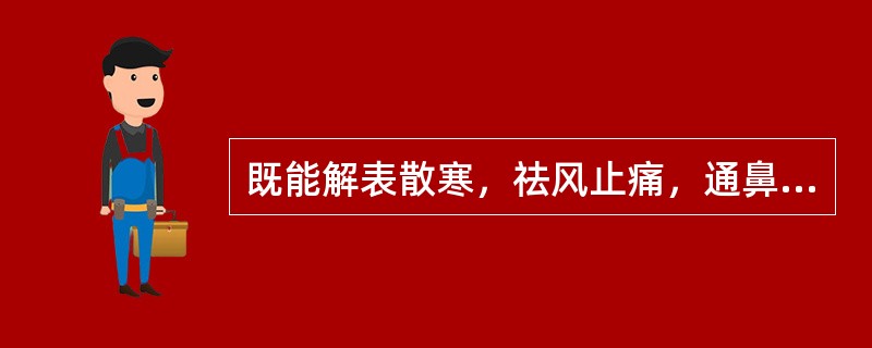 既能解表散寒，祛风止痛，通鼻窍，又能燥湿止带、消肿排脓的药物是