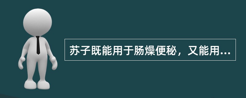 苏子既能用于肠燥便秘，又能用于治疗何种病证