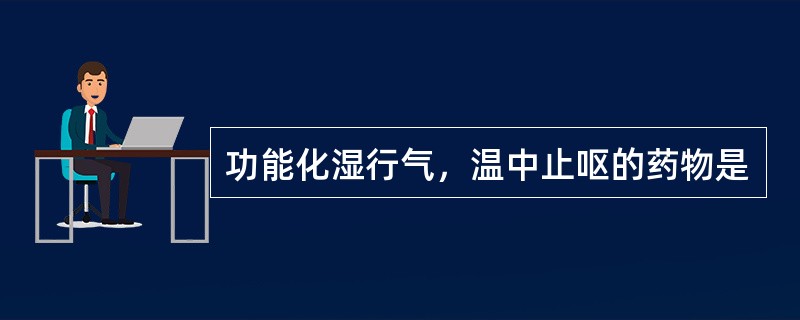 功能化湿行气，温中止呕的药物是