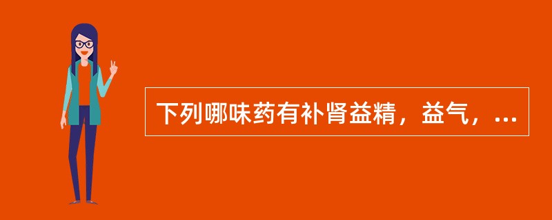 下列哪味药有补肾益精，益气，养血的功效