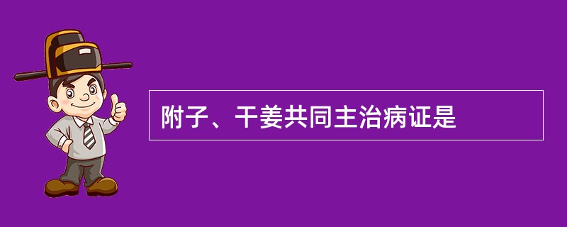 附子、干姜共同主治病证是