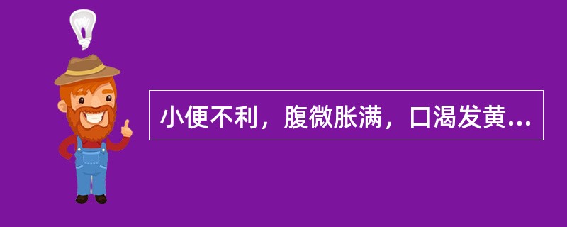 小便不利，腹微胀满，口渴发黄者，宜用