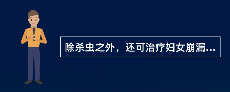 除杀虫之外，还可治疗妇女崩漏的药物是