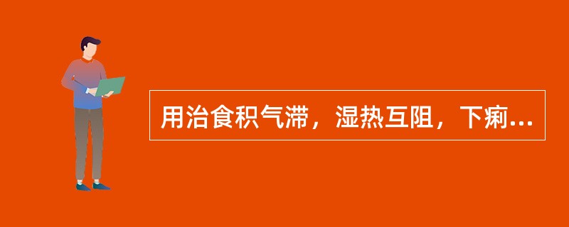 用治食积气滞，湿热互阻，下痢里急后重者，宜选下列何组药物最佳