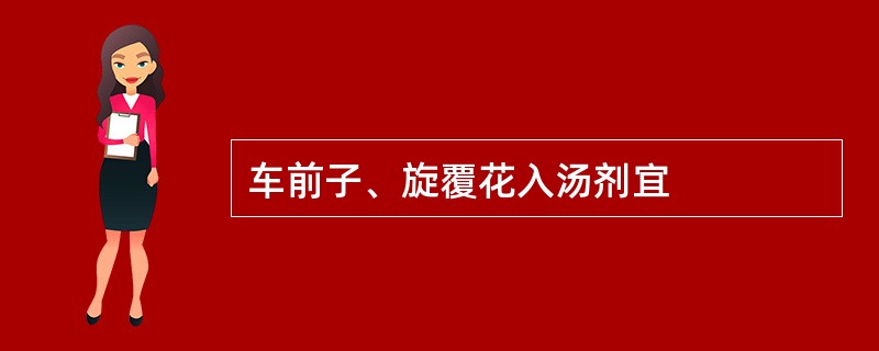 车前子、旋覆花入汤剂宜