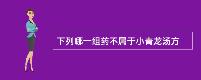 下列哪一组药不属于小青龙汤方