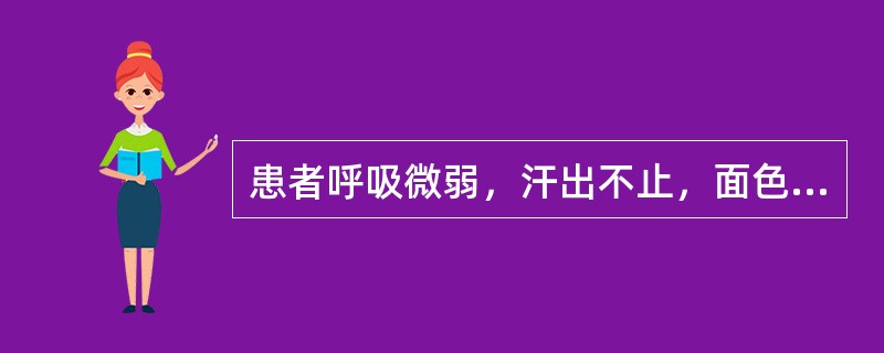 患者呼吸微弱，汗出不止，面色苍白，口开目合，手撒身软，二便失禁，脉微欲绝，舌淡苔白，证属