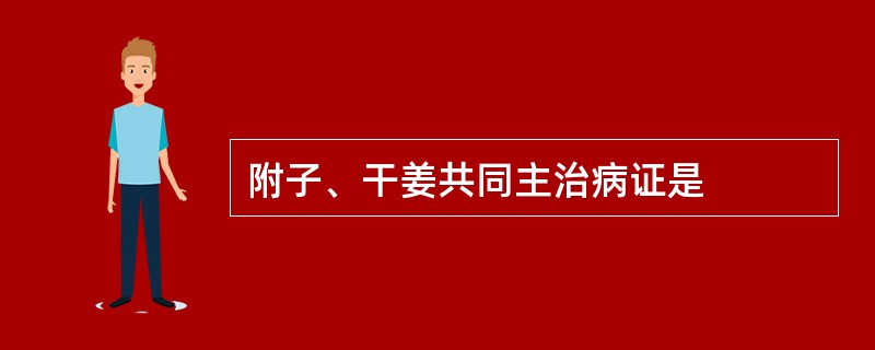 附子、干姜共同主治病证是