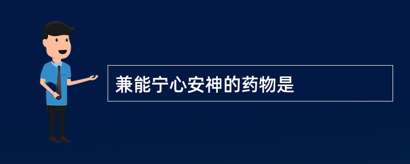 兼能宁心安神的药物是