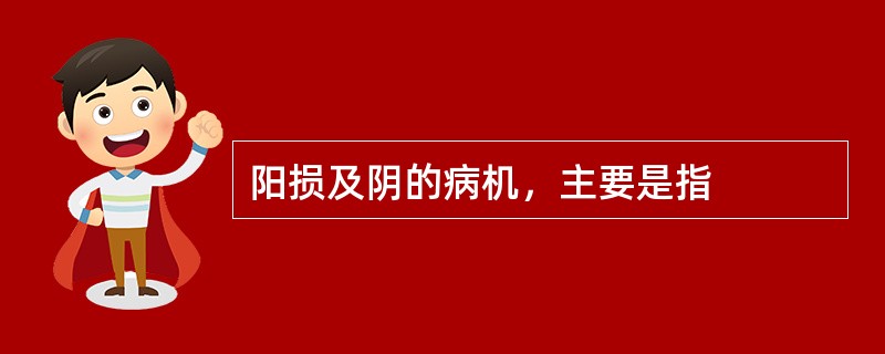 阳损及阴的病机，主要是指