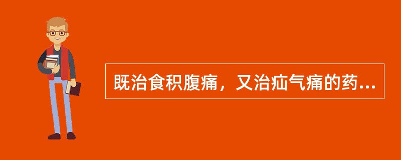 既治食积腹痛，又治疝气痛的药物是