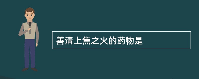 善清上焦之火的药物是