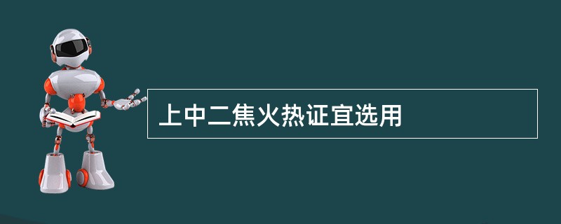 上中二焦火热证宜选用