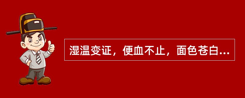 湿温变证，便血不止，面色苍白，汗出肢冷，舌淡无华，脉象微细。宜先用