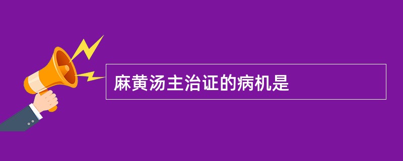 麻黄汤主治证的病机是