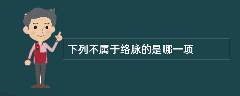 下列不属于络脉的是哪一项