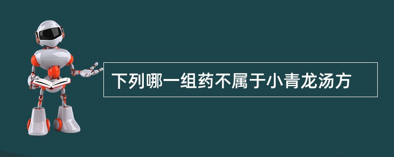 下列哪一组药不属于小青龙汤方