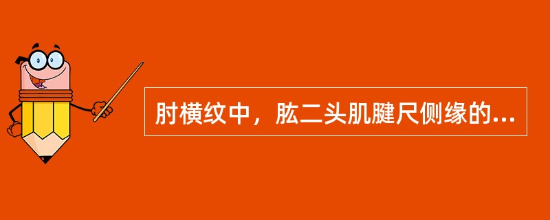 肘横纹中，肱二头肌腱尺侧缘的穴位是（　　）。